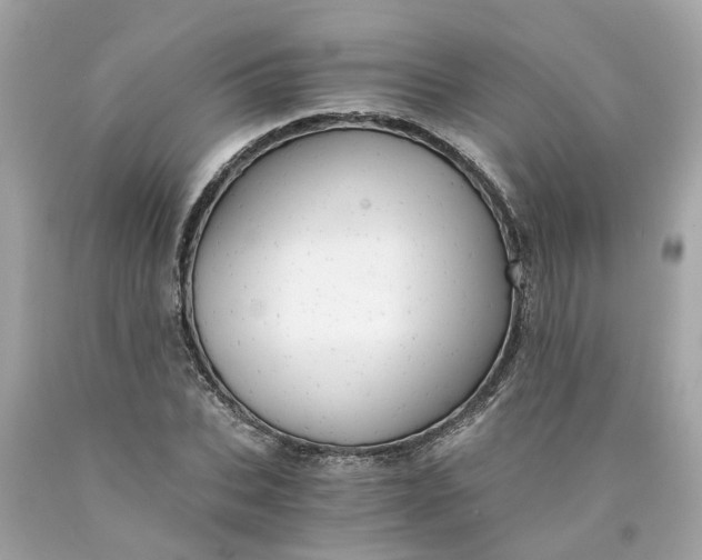 X0000089970927200707202007