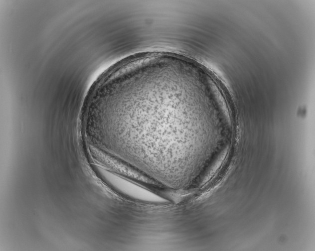 X0000089970928200707202007