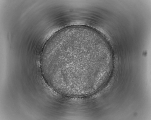 X0000089970929200707202007