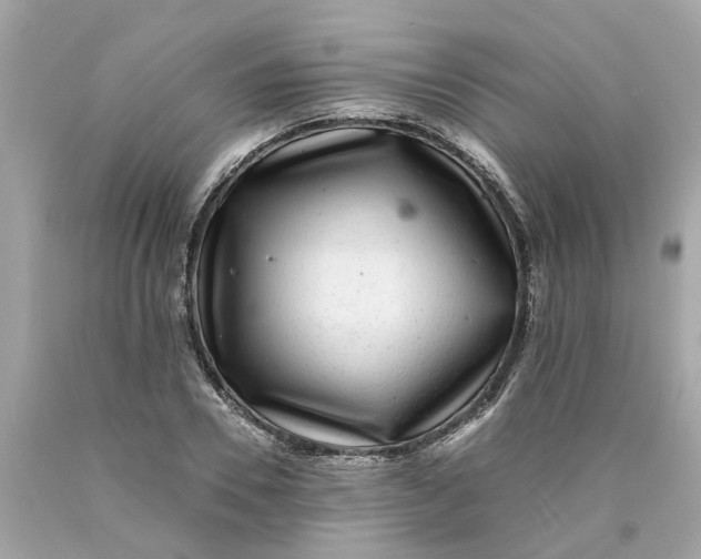 X0000089970930200707202007