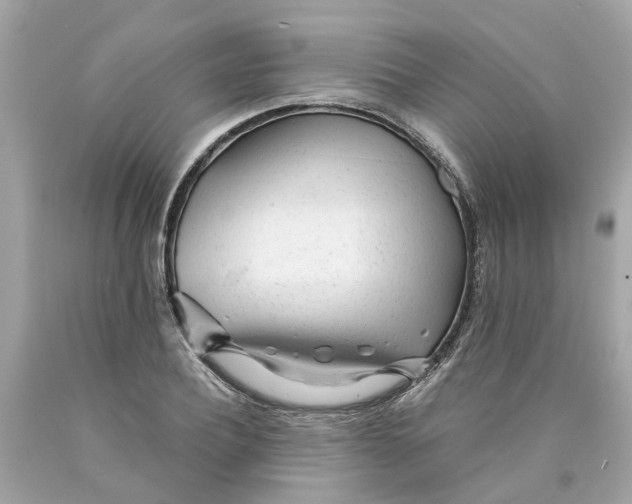 X0000089970932200707202007