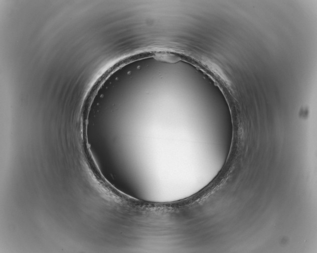 X0000089970934200707202007