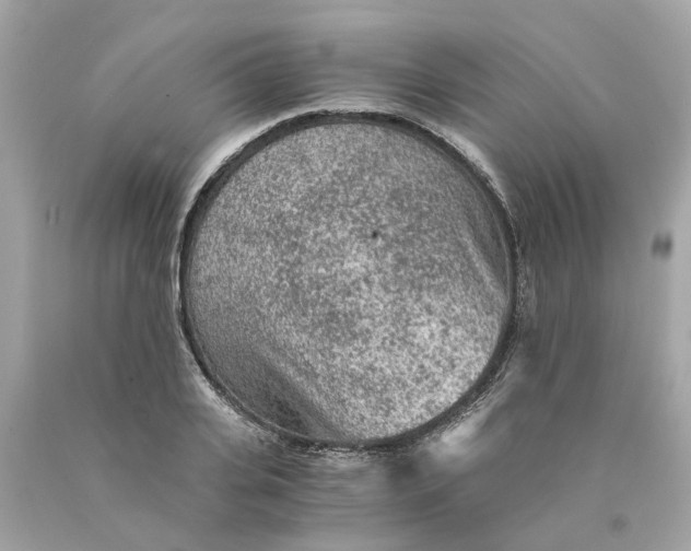 X0000089970935200707202007