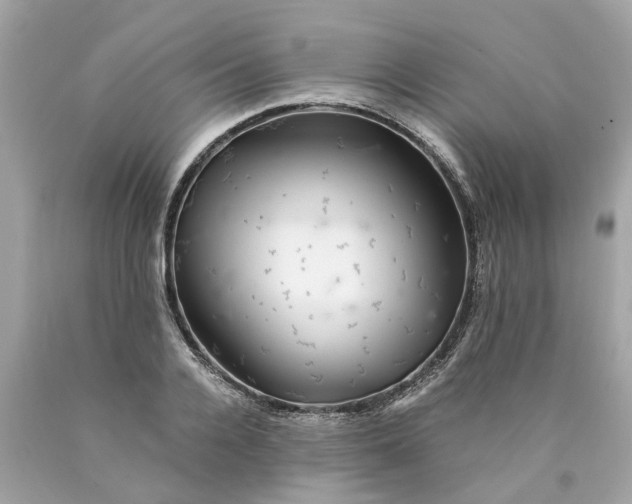 X0000089970936200707202007