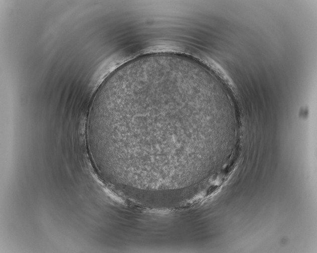 X0000089970937200707202007