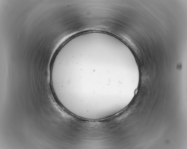 X0000089970940200707202007