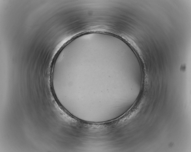 X0000089970941200707202007