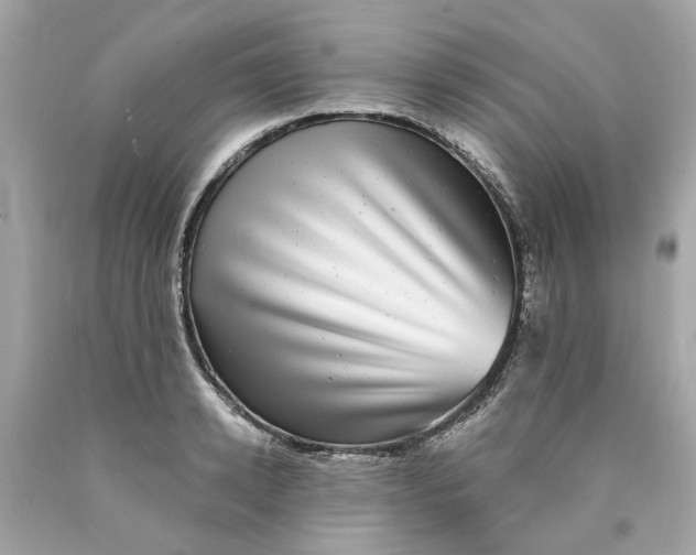 X0000089970942200707202008