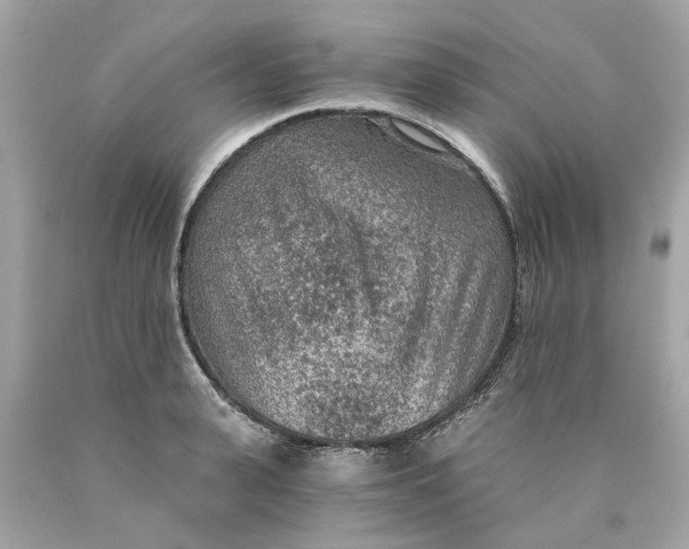 X0000089970943200707202008