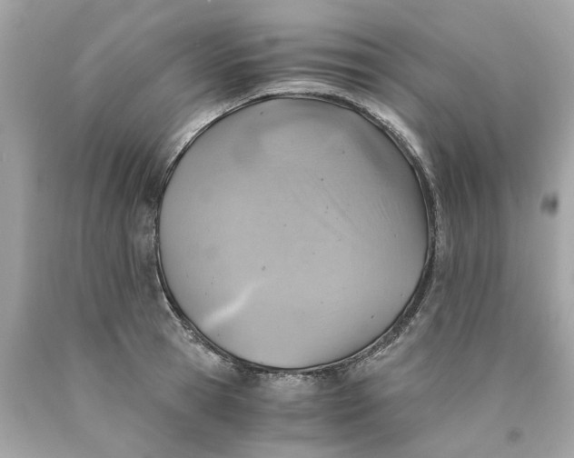 X0000089970945200707202008