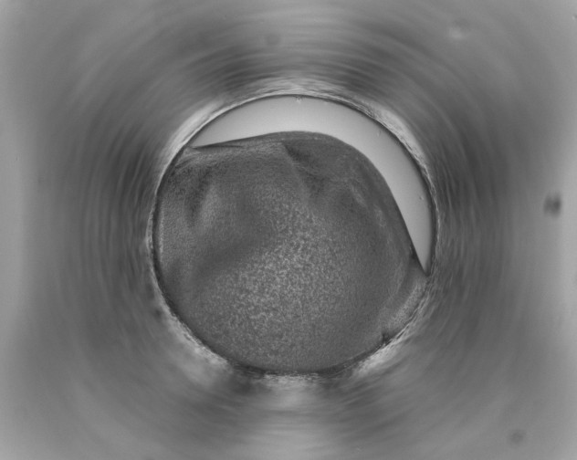 X0000089970946200707202008