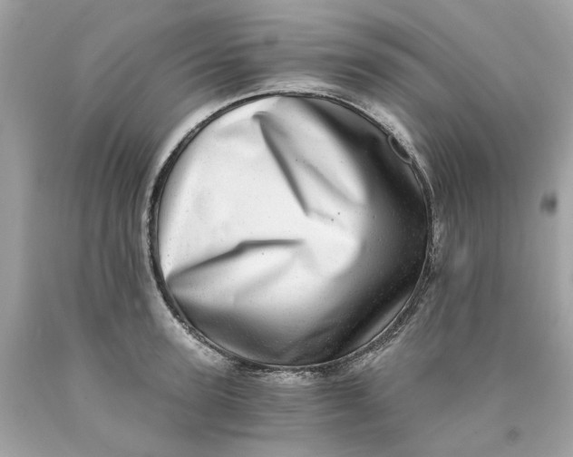 X0000089970947200707202008