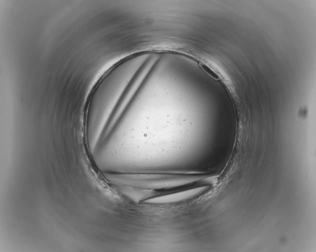 X0000089970948200707202008