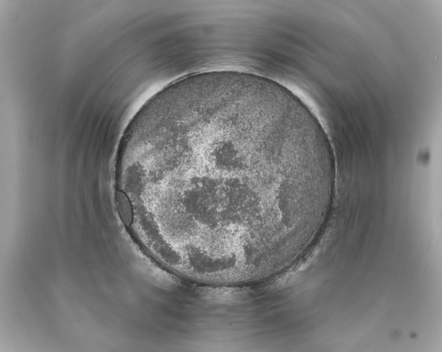 X0000089970949200707202008