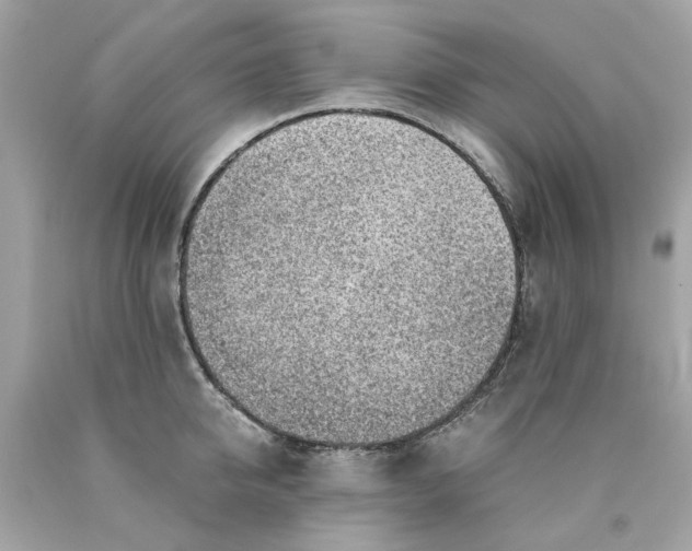 X0000089970950200707202008