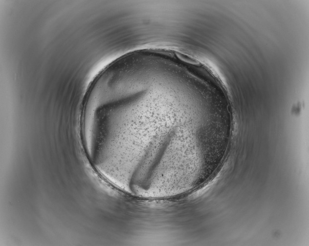 X0000089970952200707202008