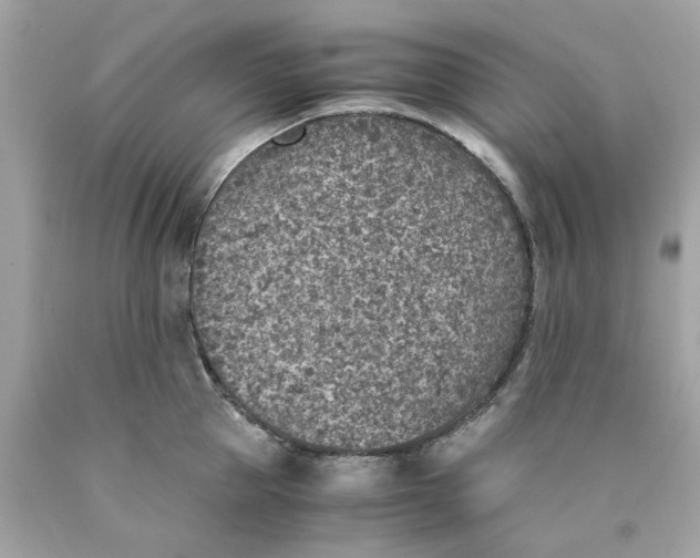 X0000089970953200707202008