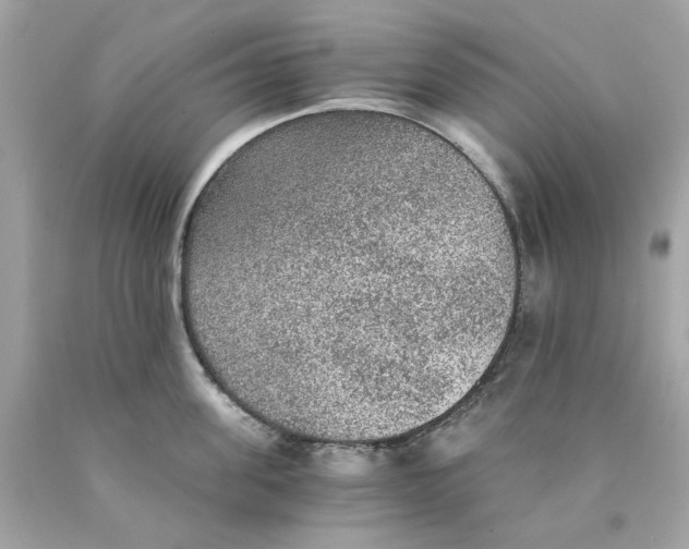 X0000089970955200707202008