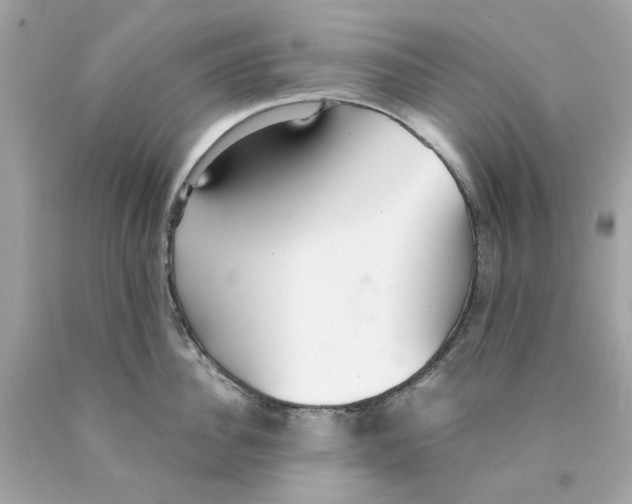 X0000089970956200707202008