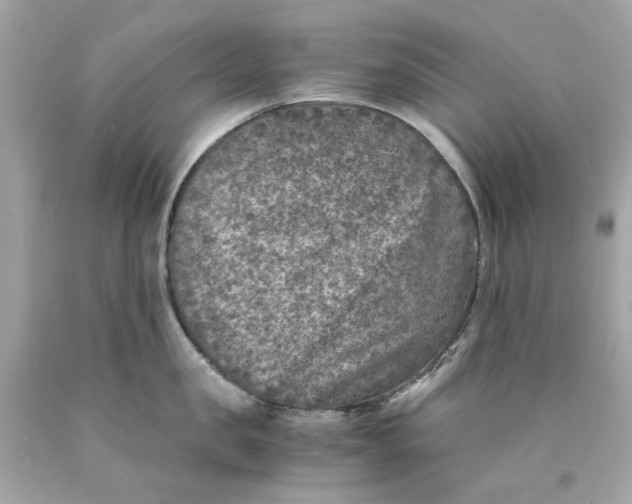 X0000089970957200707202008