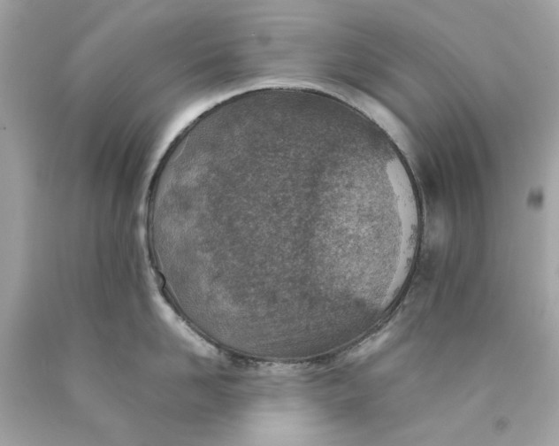 X0000089970958200707202008