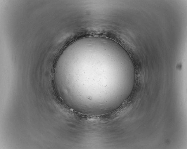 X0000089970961200707202007