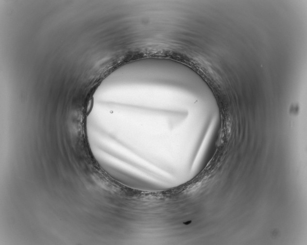 X0000089970964200707202007