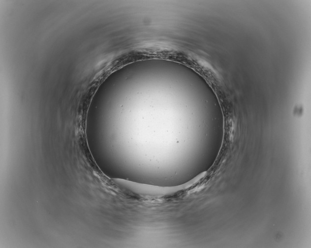 X0000089970965200707202007