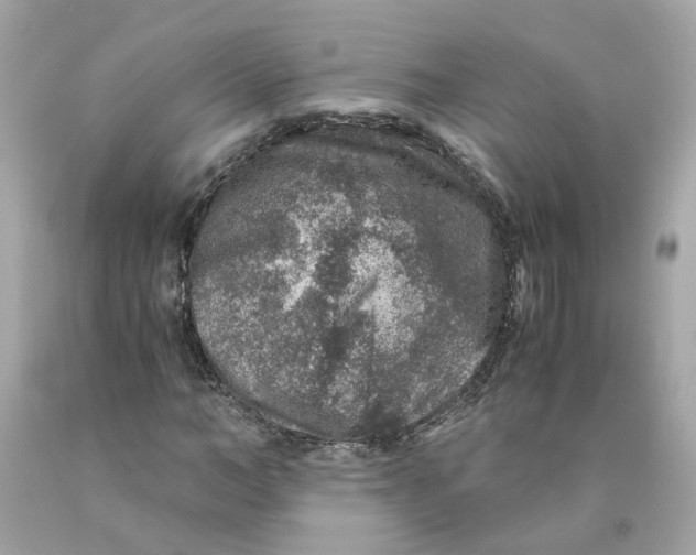 X0000089970966200707202007