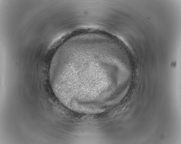 X0000089970967200707202007