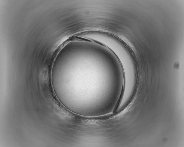 X0000089970969200707202007