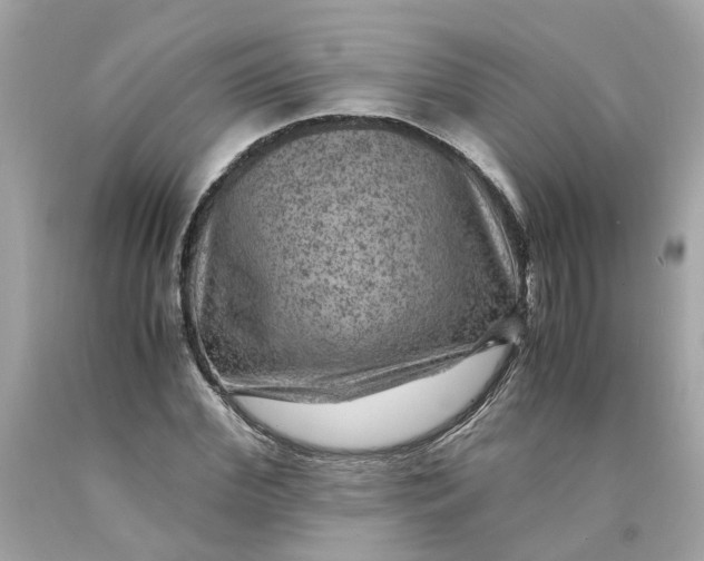 X0000089970972200707202007