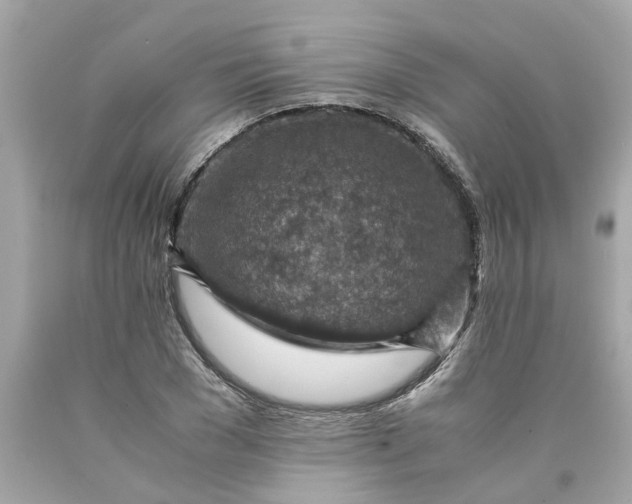 X0000089970977200707202007