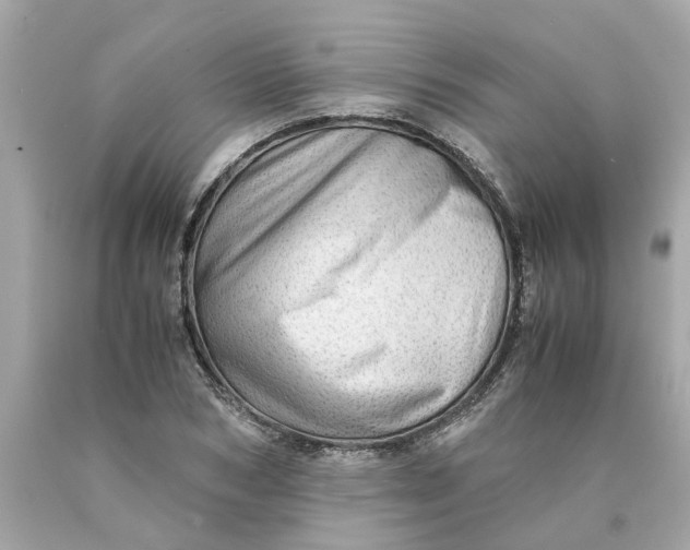 X0000089970978200707202007