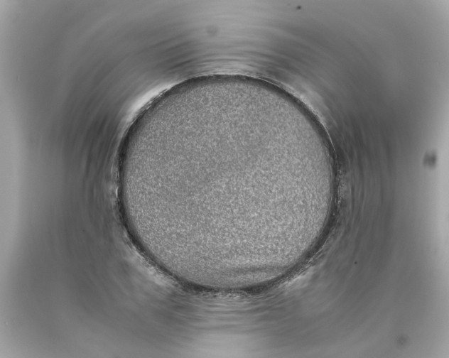 X0000089970979200707202007