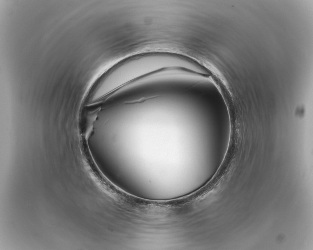 X0000089970981200707202007