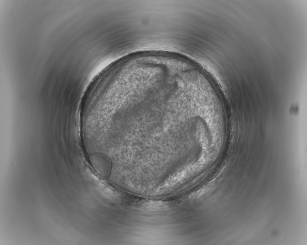 X0000089970982200707202007