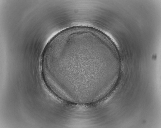 X0000089970983200707202007