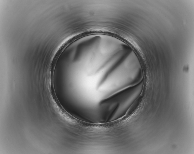 X0000089970984200707202007