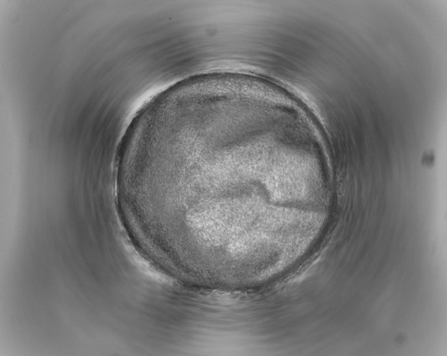 X0000089970987200707202007