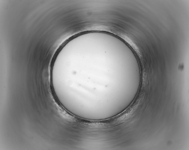 X0000089970988200707202007