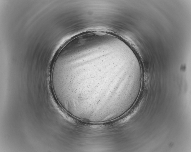 X0000089970989200707202007