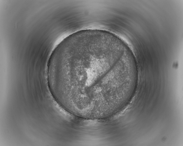 X0000089970990200707202007