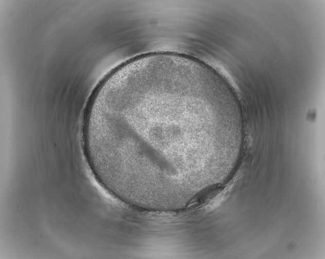 X0000089970991200707202007