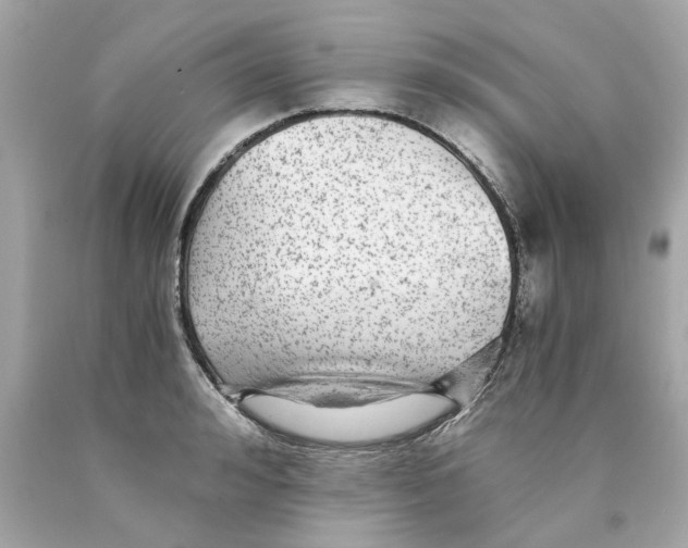 X0000089970992200707202007