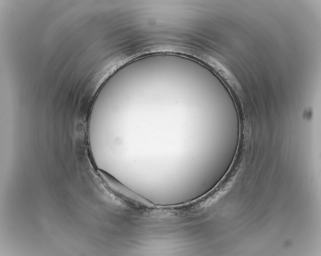 X0000089970993200707202007