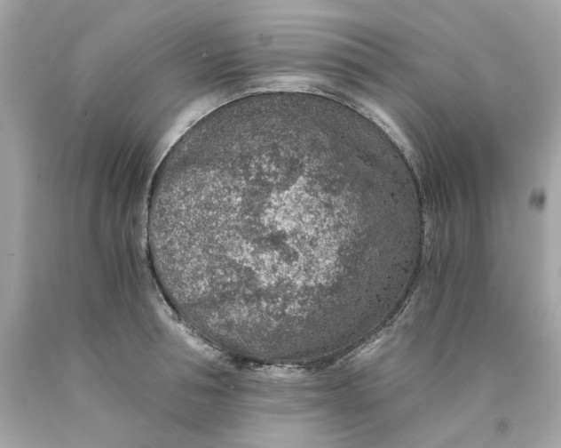 X0000089970994200707202007