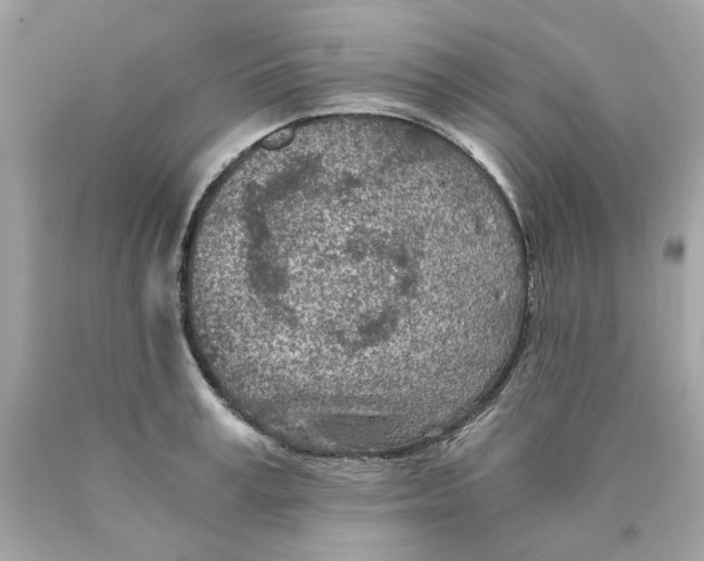 X0000089970995200707202007