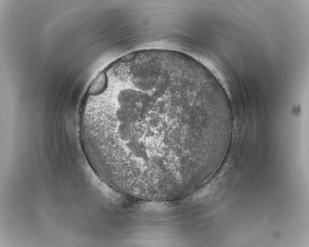 X0000089970998200707202007