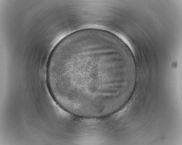 X0000089970999200707202007